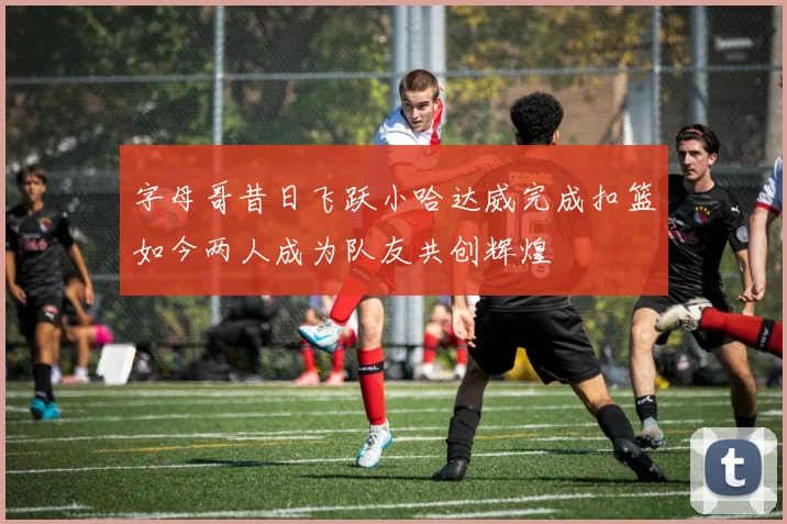 字母哥昔日飞跃小哈达威完成扣篮如今两人成为队友共创辉煌