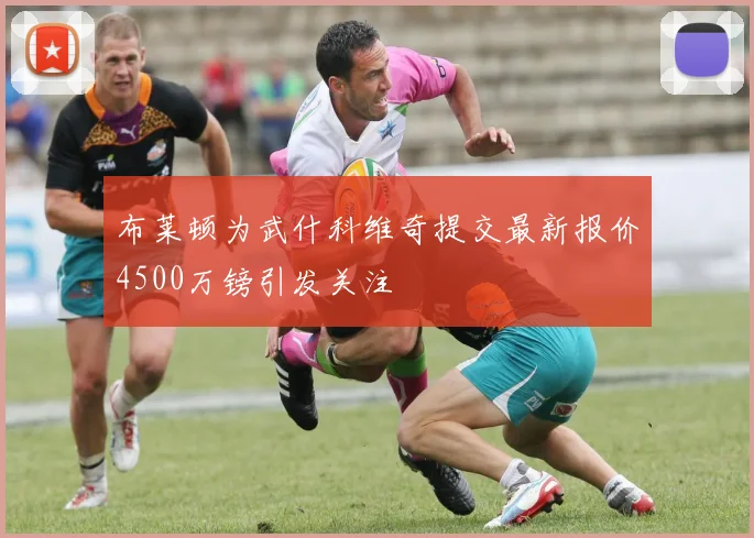 布莱顿为武什科维奇提交最新报价4500万镑引发关注